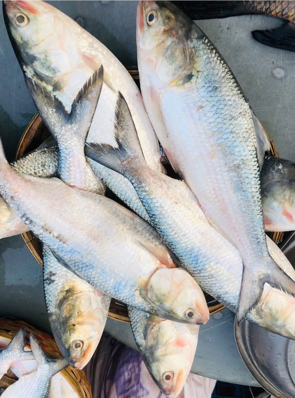 WhatsApp Image 2026-02-25 at 4.01.45 PM (1)